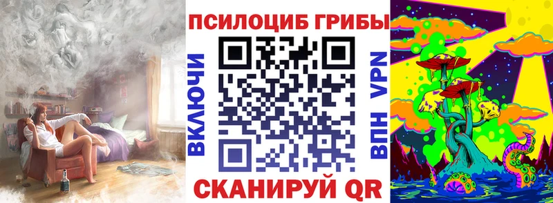 Купить где  Переславль-Залесский  Галлюциногенные грибы Magic Shrooms 
